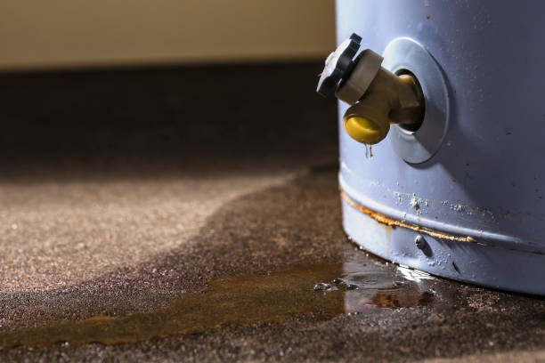 Best Water damage restoration cost  in Westfield, NJ