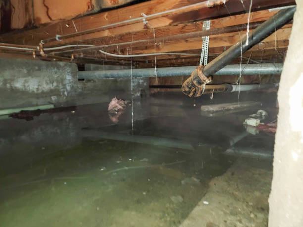  Westfield, NJ Water damage restoration Pros